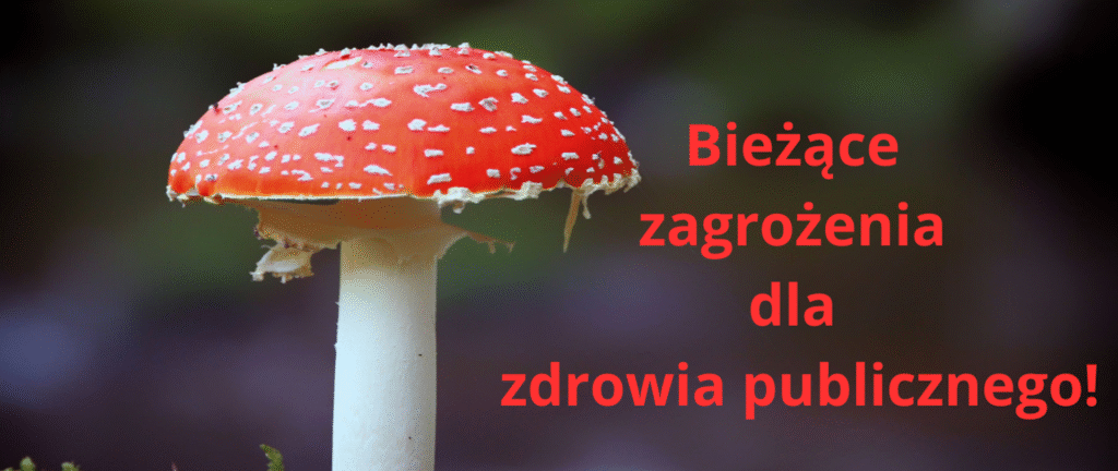 dowiedz się, dlaczego muchomor stanowi zagrożenie dla zwierząt. poznaj objawy zatrucia i sposoby ochrony swoich pupili przed toksycznymi grzybami.